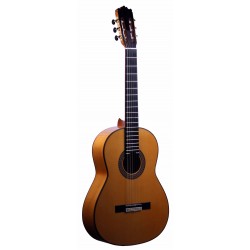 Guitarra Flamenca Juan Alvarez Y-18F