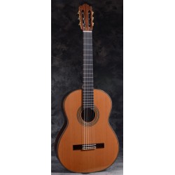 MTZ Clasica ESPAÑA -12C Guitarra maciza 12 C