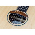 KNA HP-1 Previo Humbucker Magnetico Guitarra Acustica