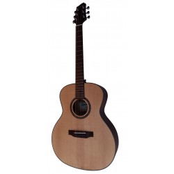 Egmond Guitarra Acustica AV-51 Tapa Maciza